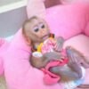 http://adorablereptiles.com/product/capuchin-monkey-for-sale/